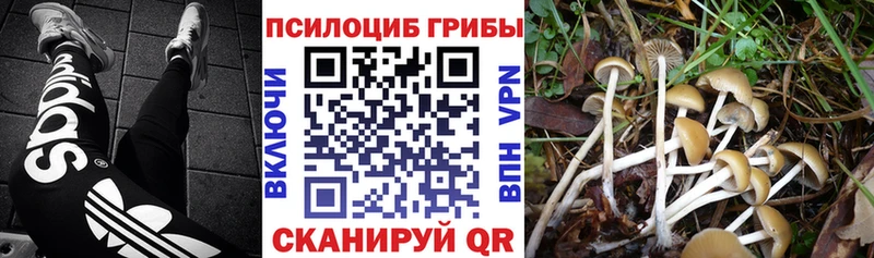 Галлюциногенные грибы прущие грибы  Тетюши 
